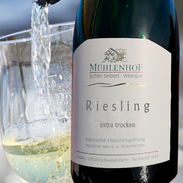 <br><h3>32/20</h3>2020er Riesling Winzersekt extra trocken 0,75l<br>